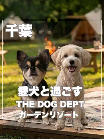 まんぷくオンニ｜ホテル旅のTikTok投稿
