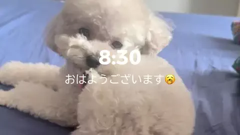 なな⌇接客業から受付嬢に転生した元社畜24歳のTikTok投稿