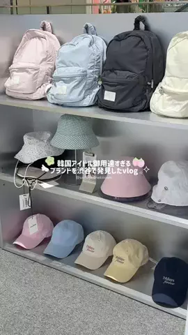 サモエドネキのお部屋のTikTok投稿