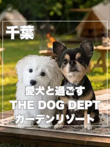 まんぷくオンニ｜ホテル旅のTikTok投稿