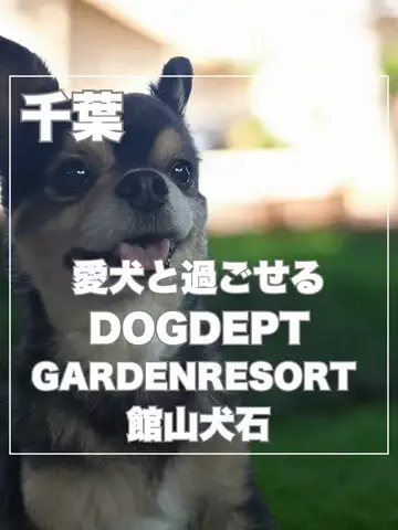 まんぷくオンニ｜ホテル旅のTikTok投稿