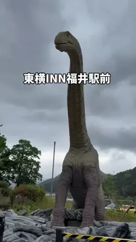 まんぷくオンニ｜ホテル旅のTikTok投稿