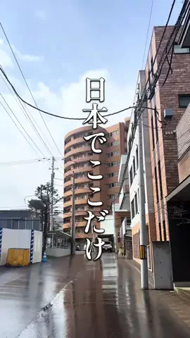 はな⌇札幌グルメ&カフェのTikTok投稿