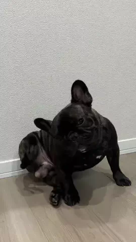 よだれ🤤のTikTok投稿