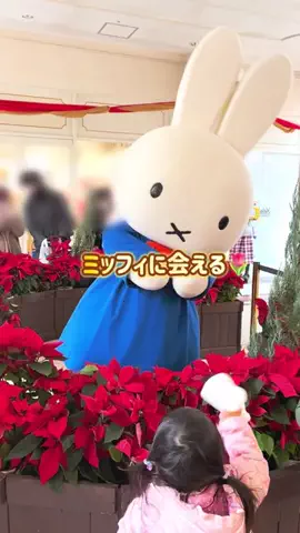 piyo_tripのTikTok投稿