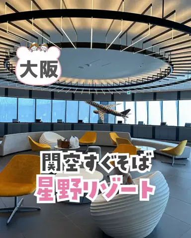 piyo_tripのTikTok投稿