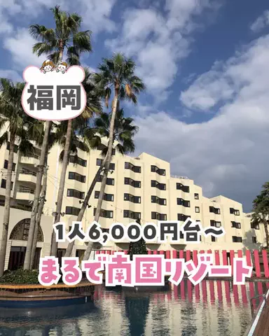 piyo_tripのTikTok投稿
