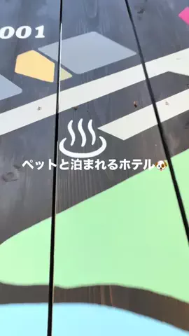 yuriのTikTok投稿