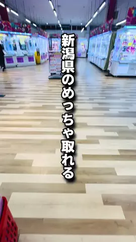 ふじさん（Akihabara Goton Player）のTikTok投稿