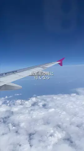 nono09 🧸🍯のTikTok投稿