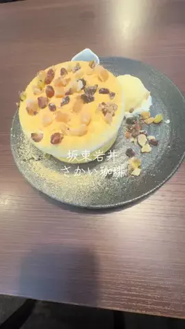 sakedialyのTikTok投稿