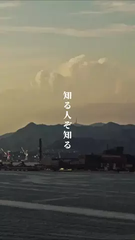 nono09 🧸🍯のTikTok投稿