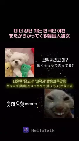 チェルのTikTok投稿