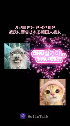 チェルのTikTok投稿