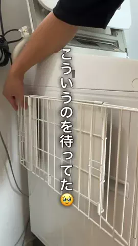 たっくん|男の子3人でも整うラクな暮らしのTikTok投稿