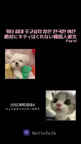 チェルのTikTok投稿