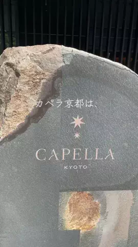 yuriのTikTok投稿