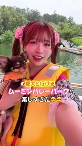 ゆりぴ〜🐶🐾のTikTok投稿