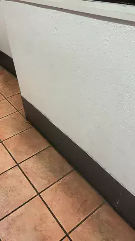 えりたま　あっちゃこちゃの万華鏡のTikTok投稿