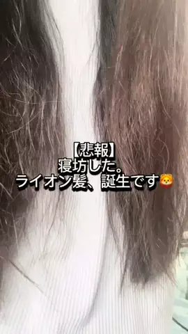 こぼちゃん。のTikTok投稿