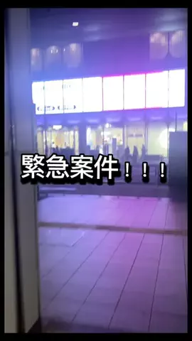 こぼちゃん。のTikTok投稿