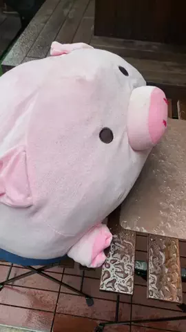 えりたま　あっちゃこちゃの万華鏡のTikTok投稿