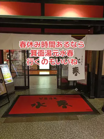 野良猫　イチくんとナナちゃんのTikTok投稿