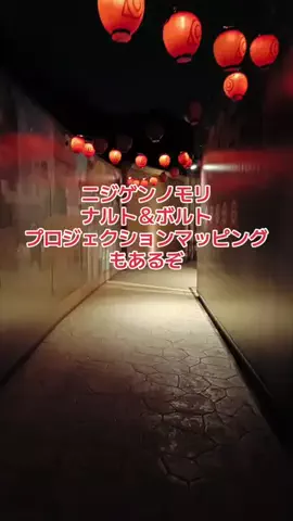 野良猫　イチくんとナナちゃんのTikTok投稿