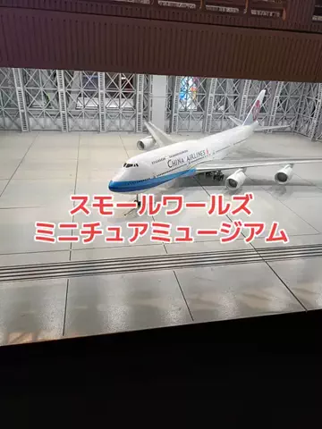 野良猫　イチくんとナナちゃんのTikTok投稿