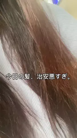 こぼちゃん。のTikTok投稿