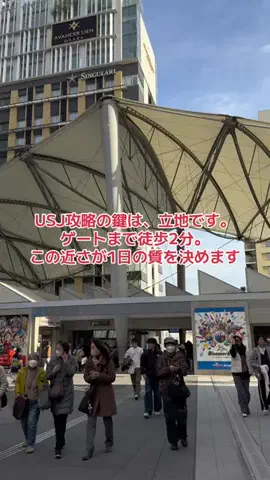 野良猫　イチくんとナナちゃんのTikTok投稿