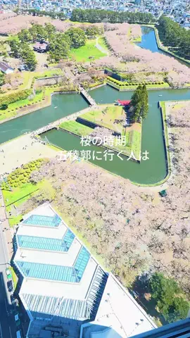 yuaのTikTok投稿