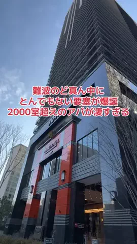 野良猫　イチくんとナナちゃんのTikTok投稿
