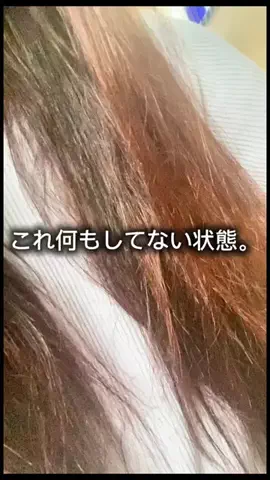 こぼちゃん。のTikTok投稿