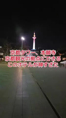 野良猫　イチくんとナナちゃんのTikTok投稿