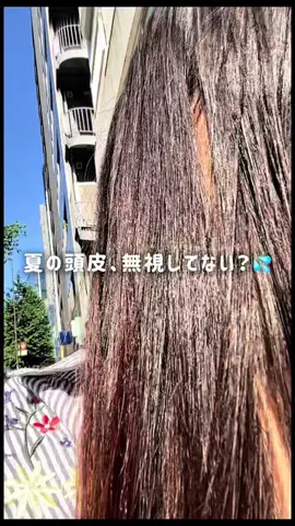 こぼちゃん。のTikTok投稿