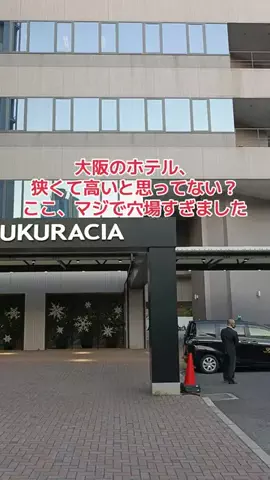 野良猫　イチくんとナナちゃんのTikTok投稿