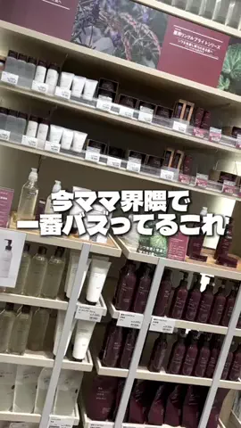 しいちゃまのTikTok投稿