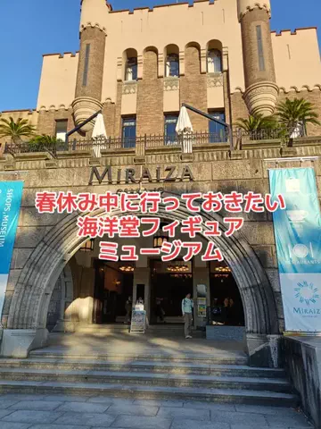 野良猫　イチくんとナナちゃんのTikTok投稿