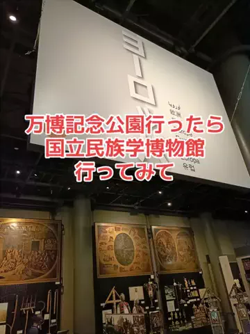 野良猫　イチくんとナナちゃんのTikTok投稿