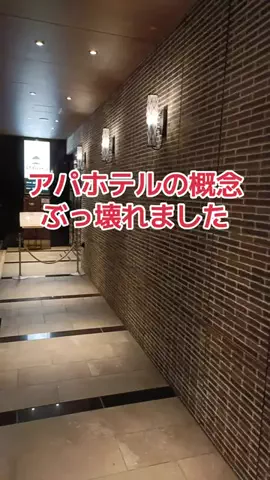 野良猫　イチくんとナナちゃんのTikTok投稿
