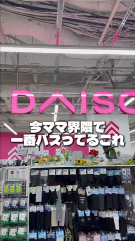 しいちゃまのTikTok投稿