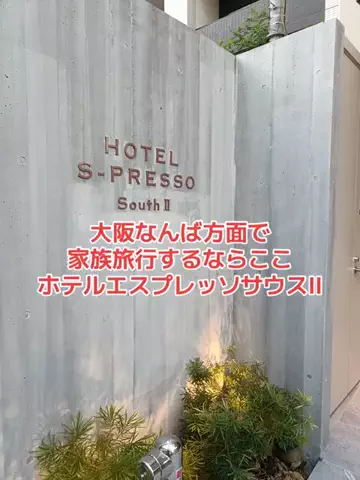 野良猫　イチくんとナナちゃんのTikTok投稿