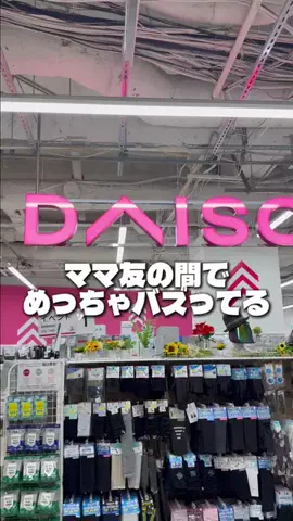 しいちゃまのTikTok投稿