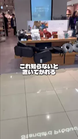 しいちゃまのTikTok投稿