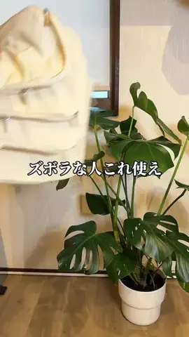 しんしんの正直レビューのTikTok投稿