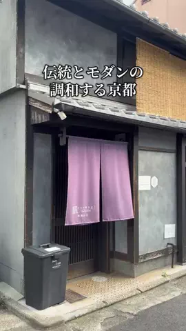 トトのTikTok投稿