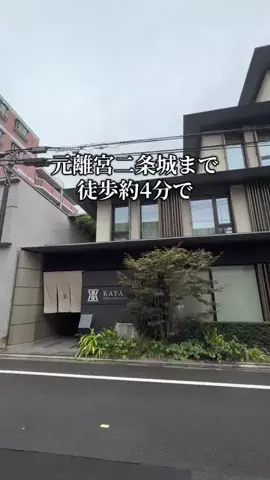 トトのTikTok投稿