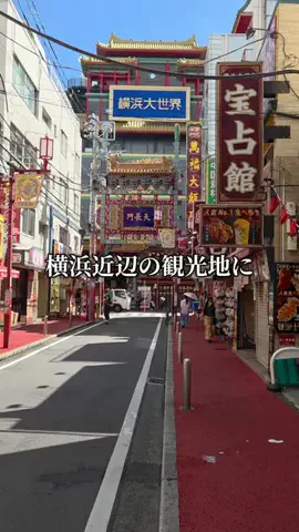 トトのTikTok投稿