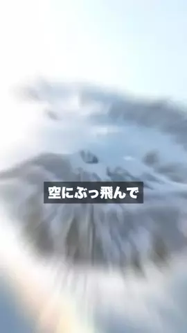 クリスのバスケ日記のTikTok投稿